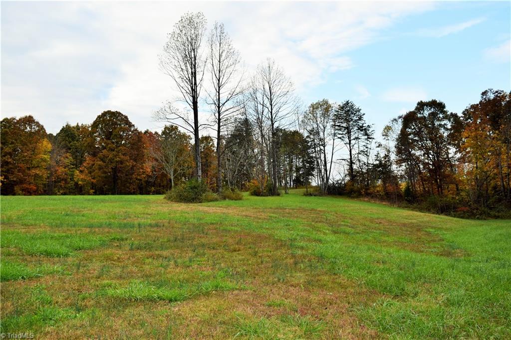3.299-ac Lula Road Madison, NC 27025 - Photo 5 of 13 Gallery Image 5