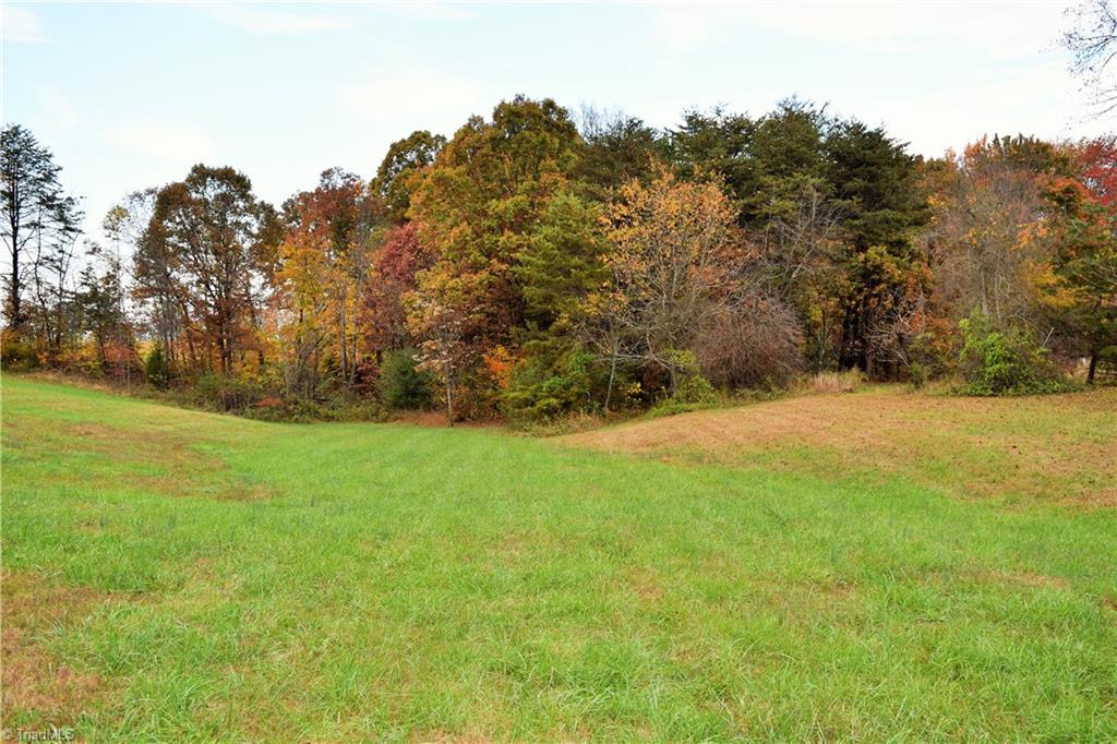 3.299-ac Lula Road Madison, NC 27025 - Photo 6 of 13 Gallery Image 6