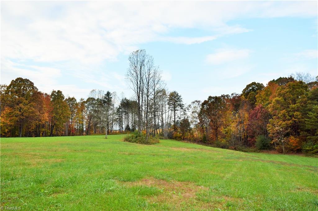 3.299-ac Lula Road Madison, NC 27025 - Photo 8 of 13 Gallery Image 8