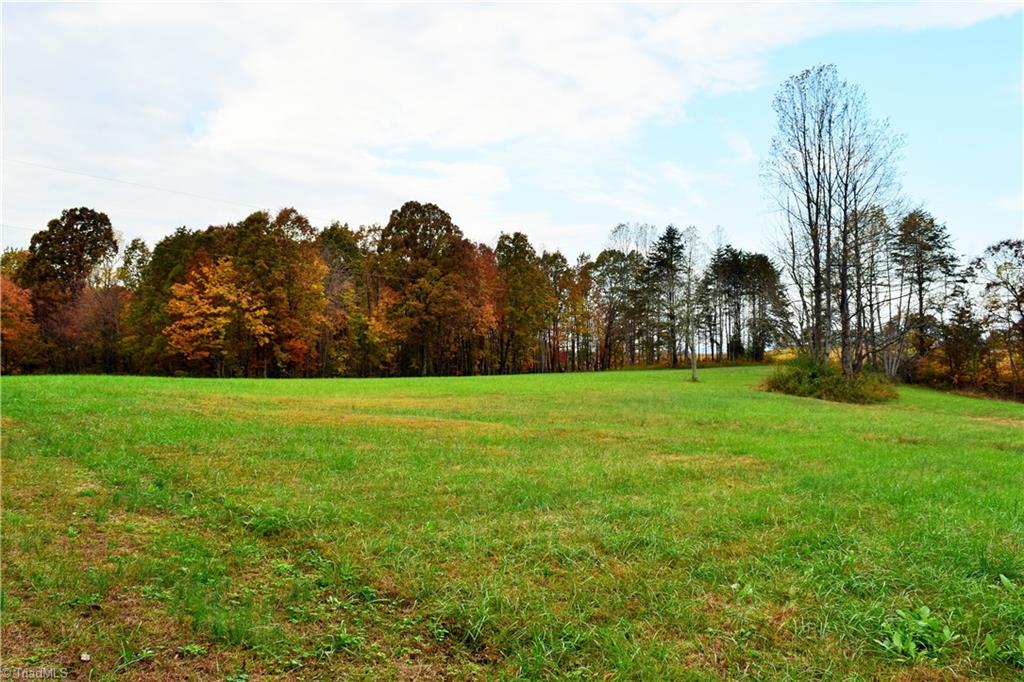 3.299-ac Lula Road Madison, NC 27025 - Photo 9 of 13 Gallery Image 9