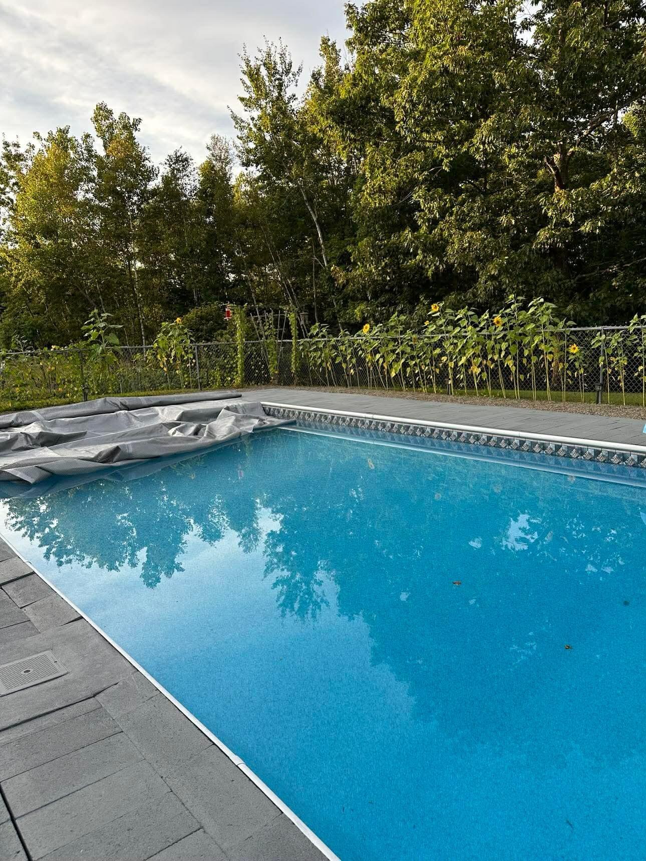 7 Fox Run Road Orland, ME 04472 - Photo 20 of 79 Messenger_creation_C8EA6FD1-762C-47DF-9D