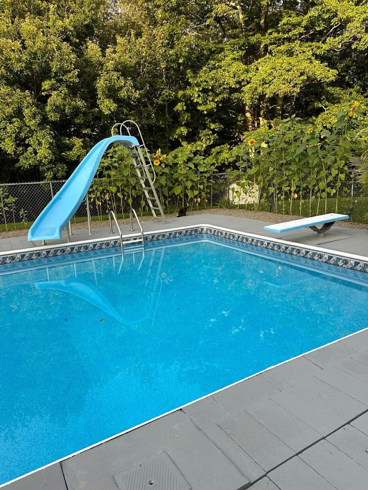 7 Fox Run Road Orland, ME 04472 - Photo 21 of 79 Messenger_creation_D1946FF0-3023-432C-A8