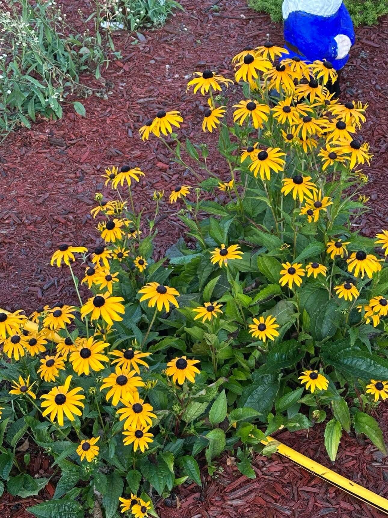 7 Fox Run Road Orland, ME 04472 - Photo 25 of 79 Messenger_creation_8CA33491-6A6D-4ED1-BA