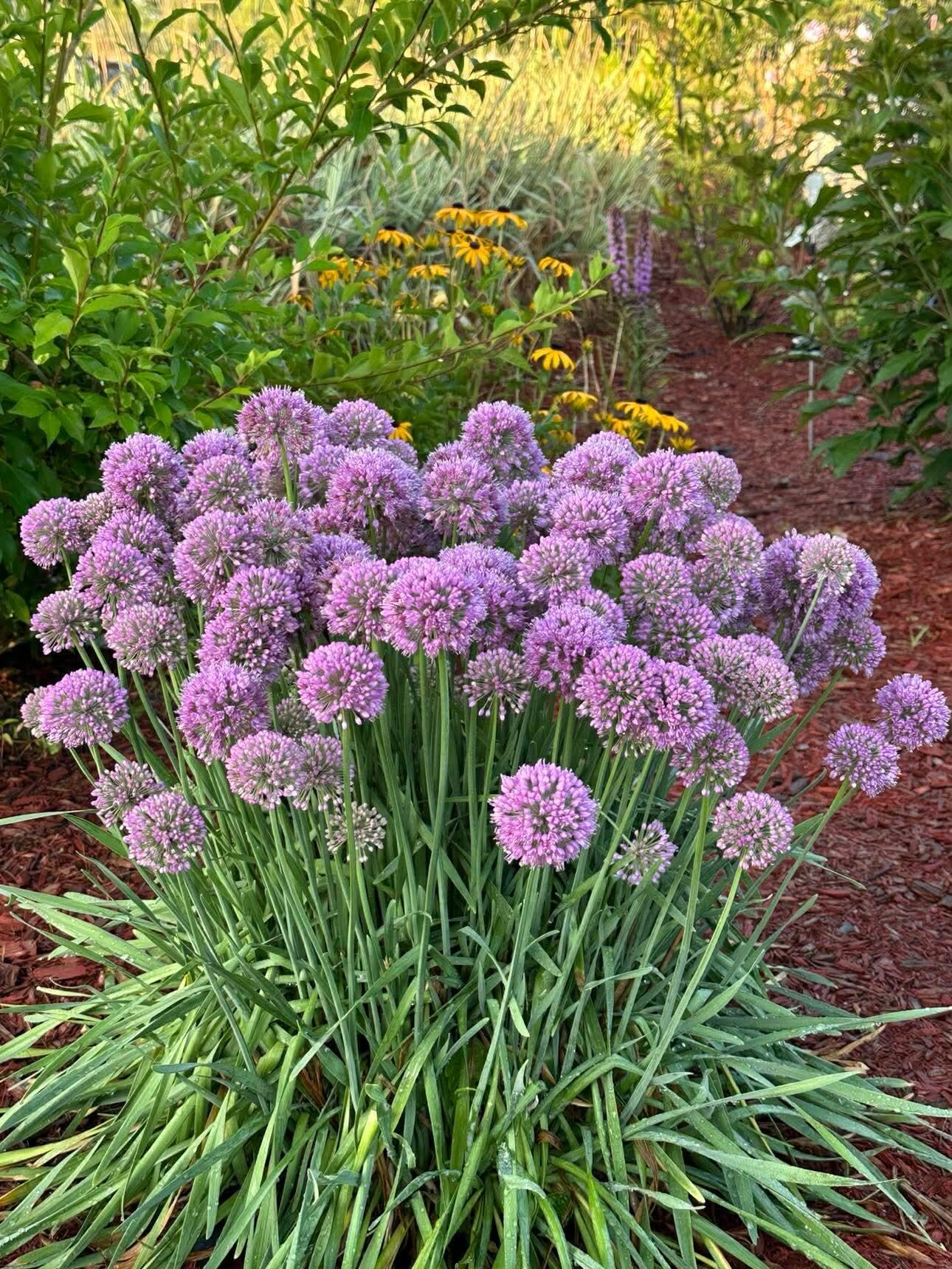 7 Fox Run Road Orland, ME 04472 - Photo 26 of 79 Messenger_creation_E91BBB5C-0D2D-4489-93