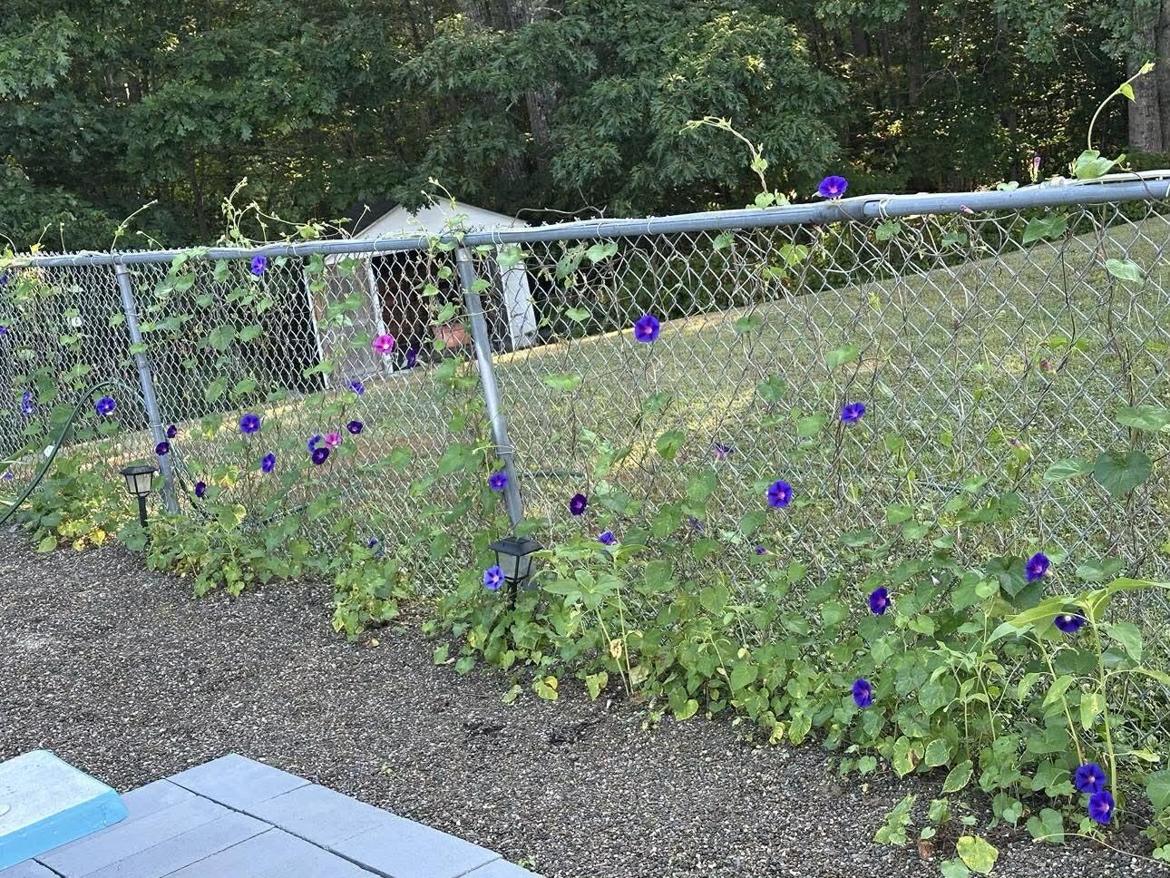 7 Fox Run Road Orland, ME 04472 - Photo 29 of 79 Messenger_creation_4A953A67-E9CB-4C24-86