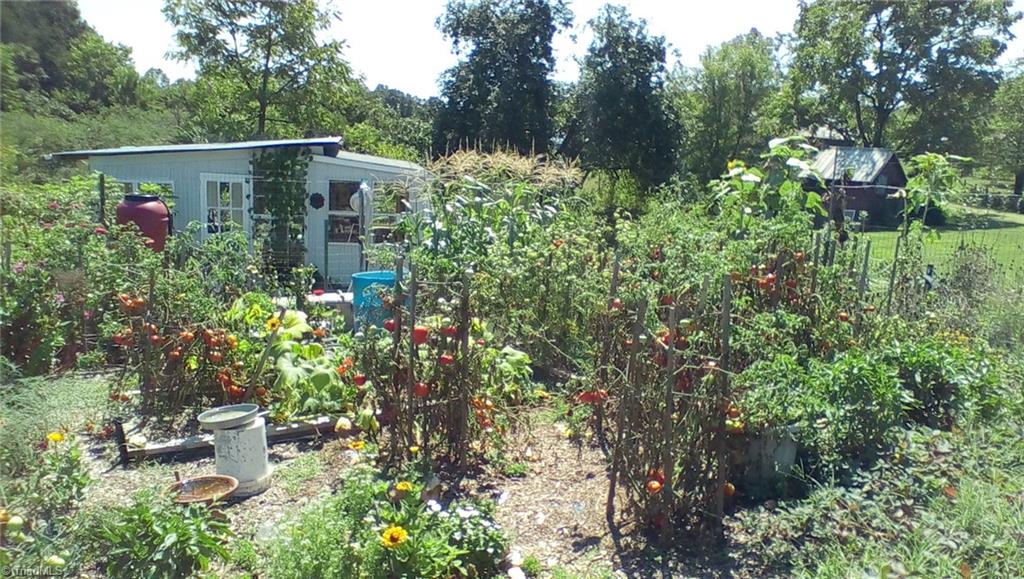 2443 Flat Shoals Road Germanton, NC 27019 - Photo 19 of 30 Gallery Image 19