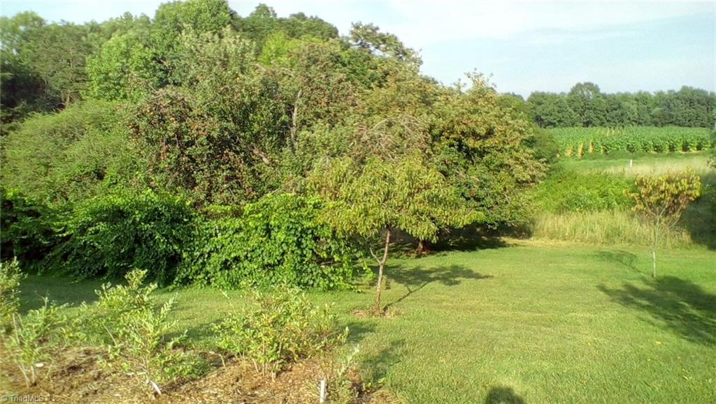 2443 Flat Shoals Road Germanton, NC 27019 - Photo 24 of 30 Gallery Image 24