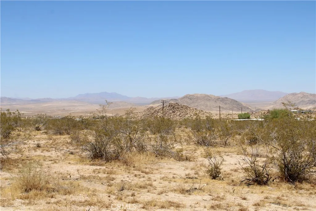 5 Joshua Tree Road Johnson Valley, CA 92285 - Photo 15 of 21 Gallery Image 15
