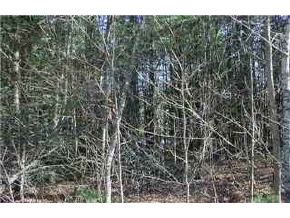 0 Ridgeberry Acres Center Harbor, NH 03226 - Photo 2 of 2 Gallery Image 2