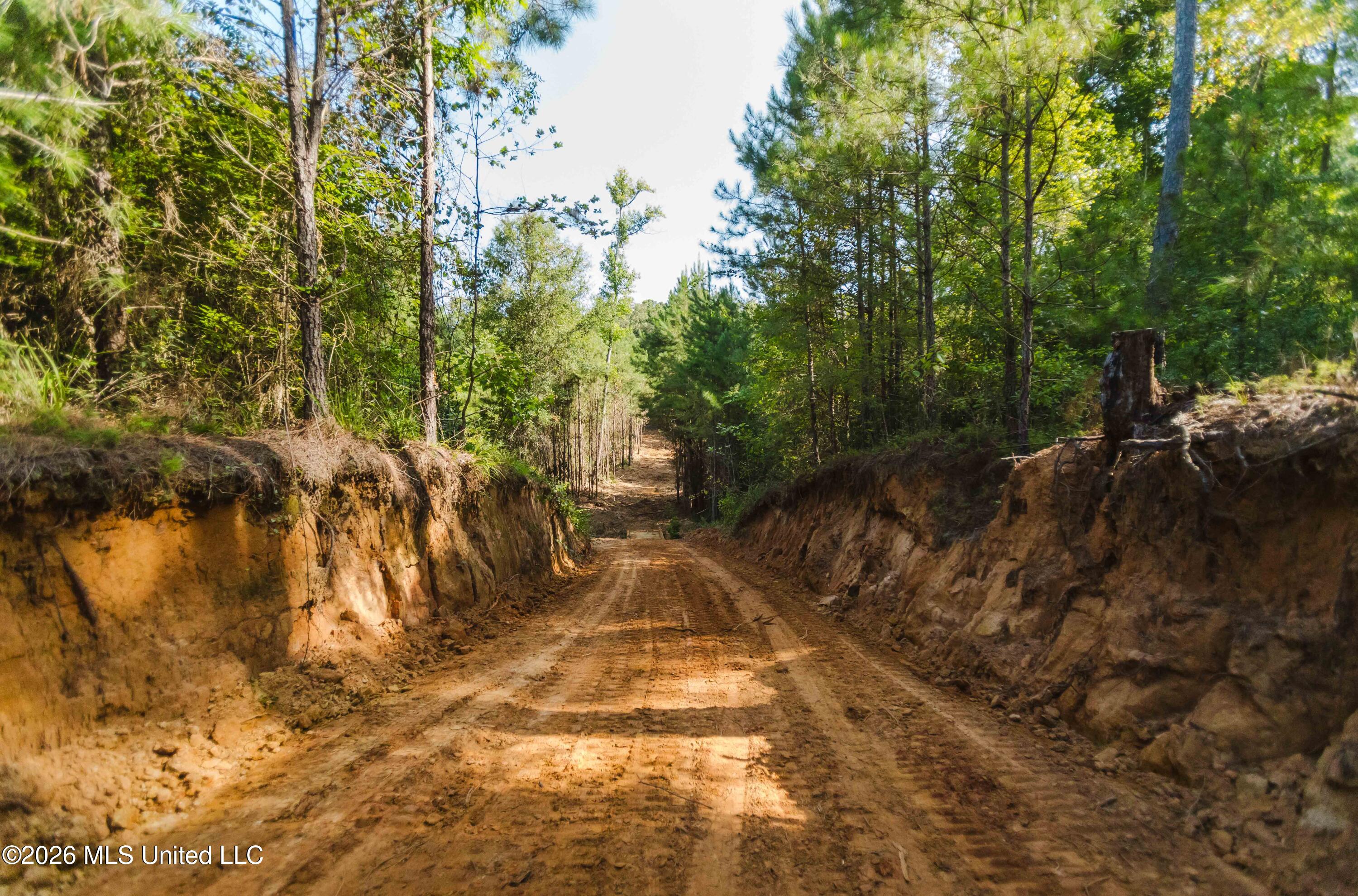 235 Woodrow Martin Road Brandon, MS 39042 - Photo 31 of 36 watsonphotography260721093547
