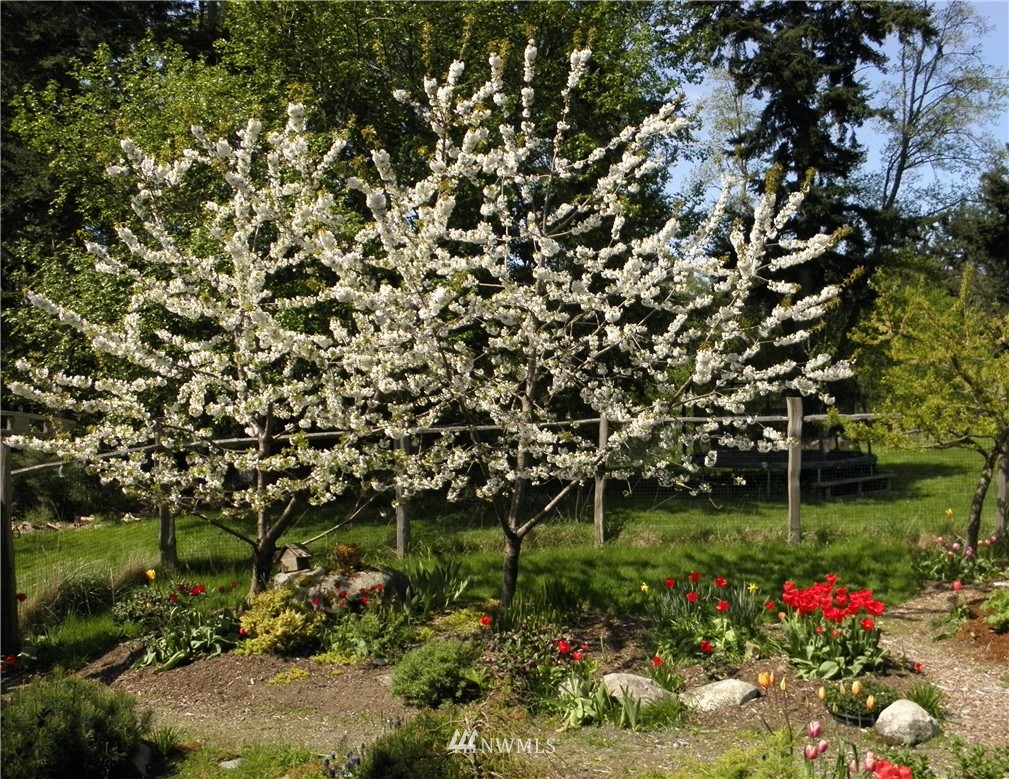 160 Island View Road Orcas Island, WA 98245 - Photo 13 of 14 Gallery Image 13