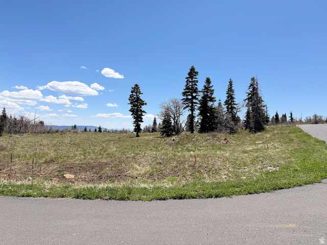 403 West Blue Spruce Drive Springdale, UT 84767 - Photo 1 of 13