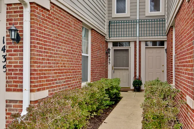 a potted plant sitting in front of a house