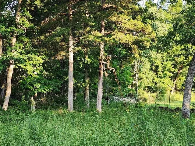 $522,900 | 19270 Cockrell Road, Yukon, MO 65589