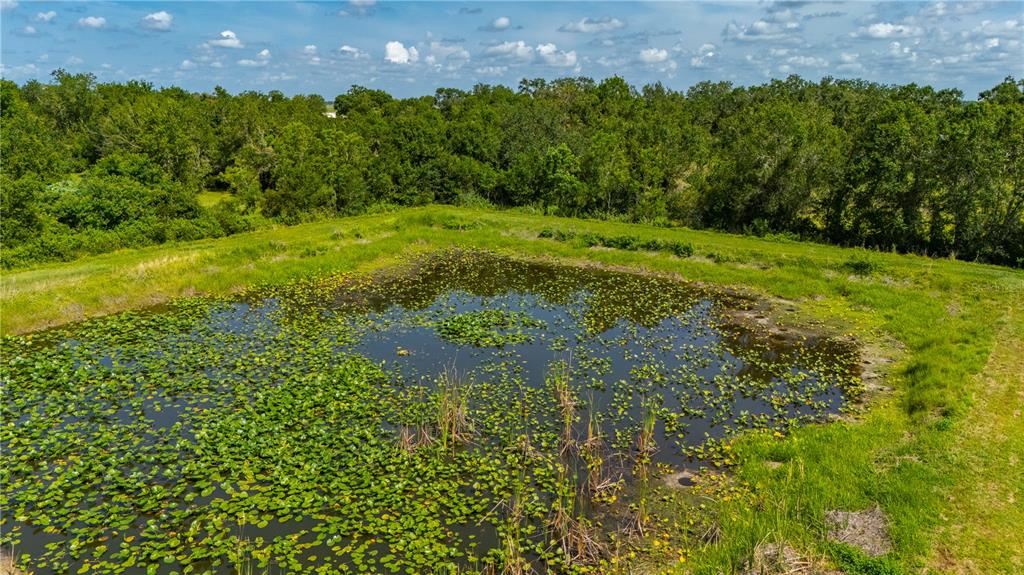 2593 Gene's Little Road Arcadia, FL 34266 - Photo 15 of 34 a view of a garden with a building