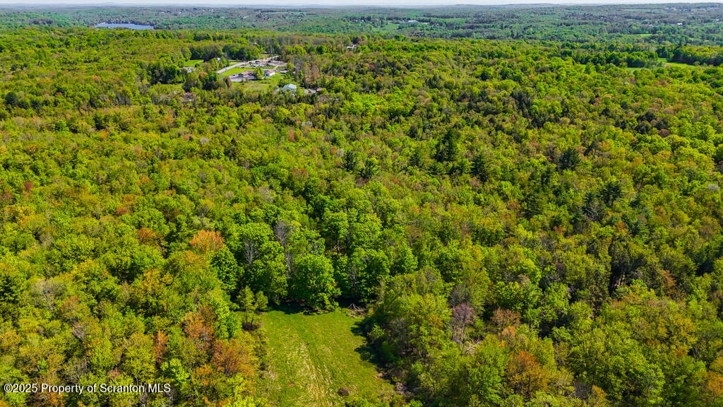 a view of a big yard with large trees