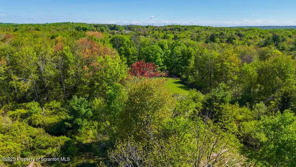 a backyard of a building with lots of green space