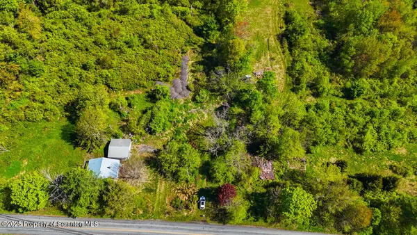 a view of a big yard