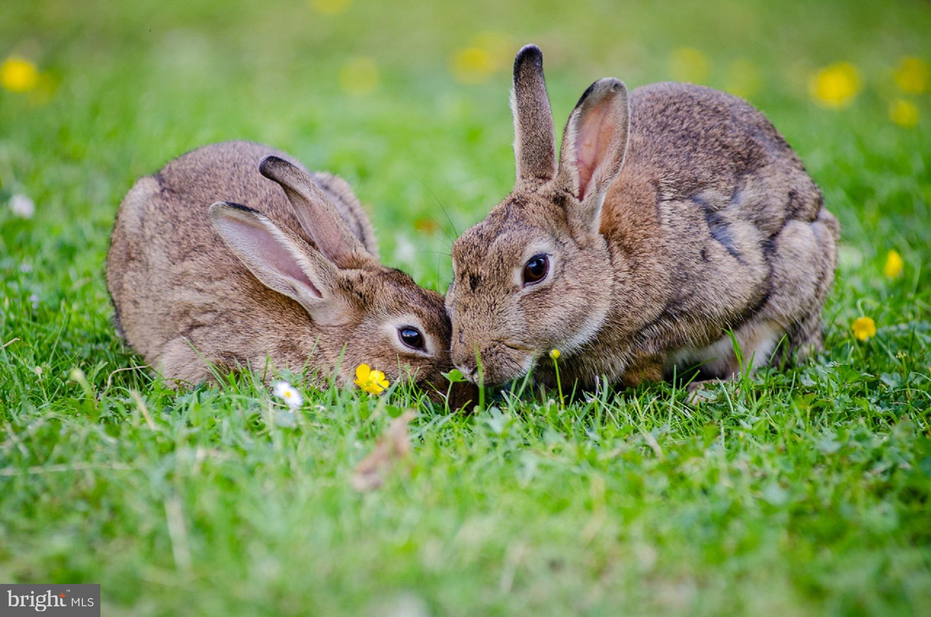Awww. So Cute. Now that I have your attention.....