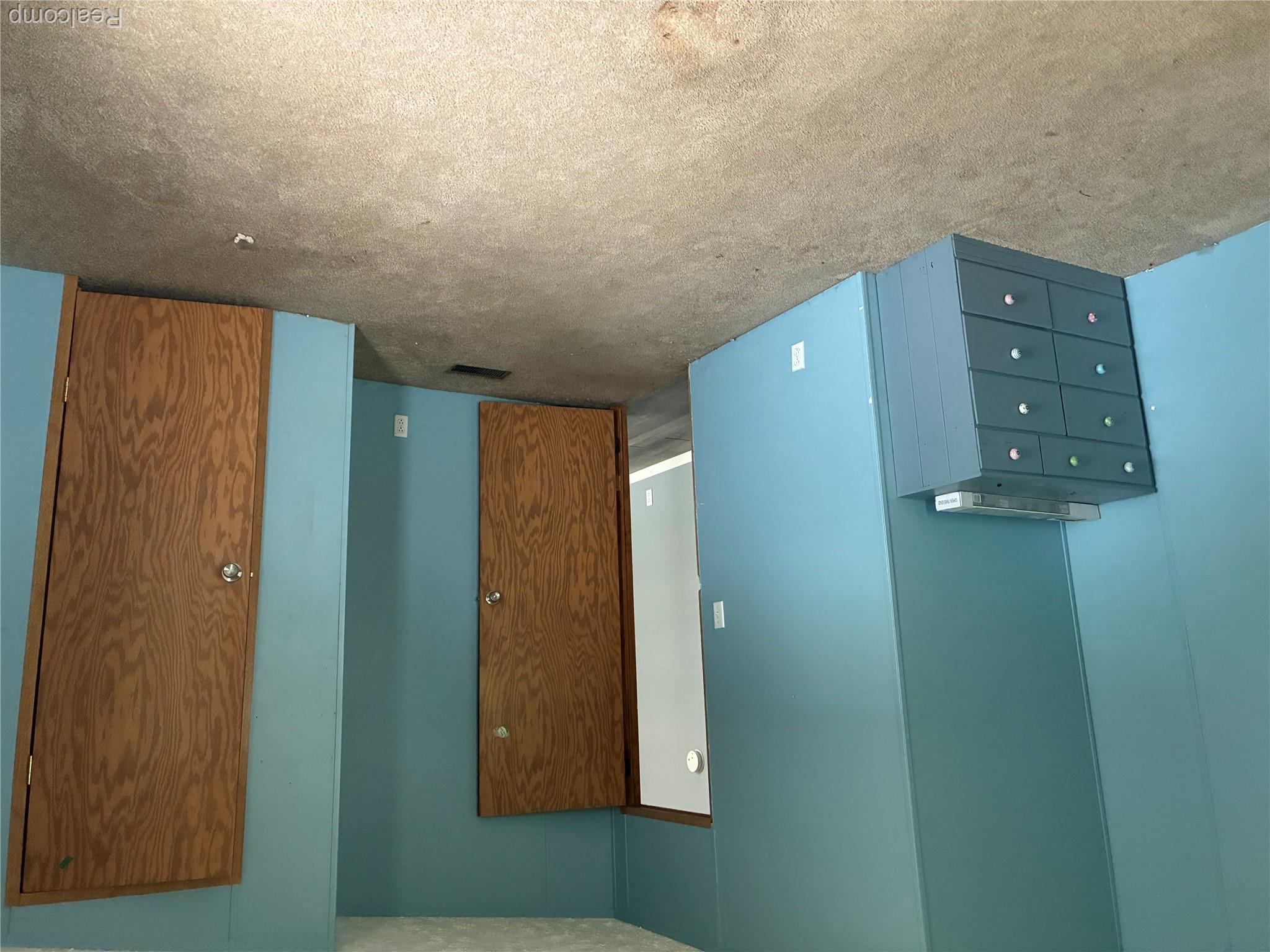 7364 Kings Court Alma, MI 48801 - Photo 13 of 16 Interior space featuring two wood-finish doors, blue painted walls, and light-colored carpeting