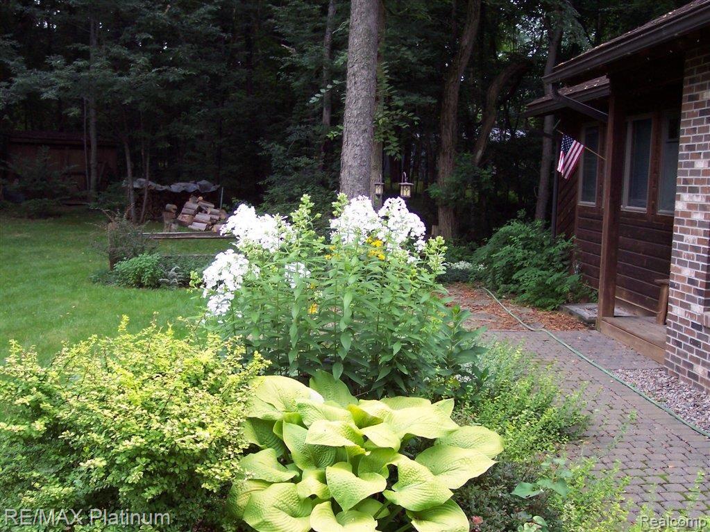 Flowers 4.jpg