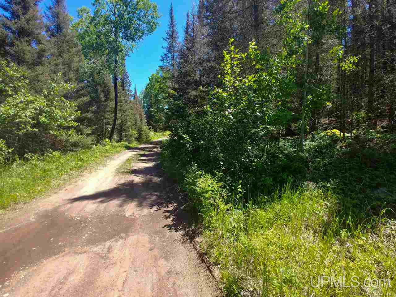 80-acres County Rd FFH Ishpeming, MI 49849 - Photo 12 of 28