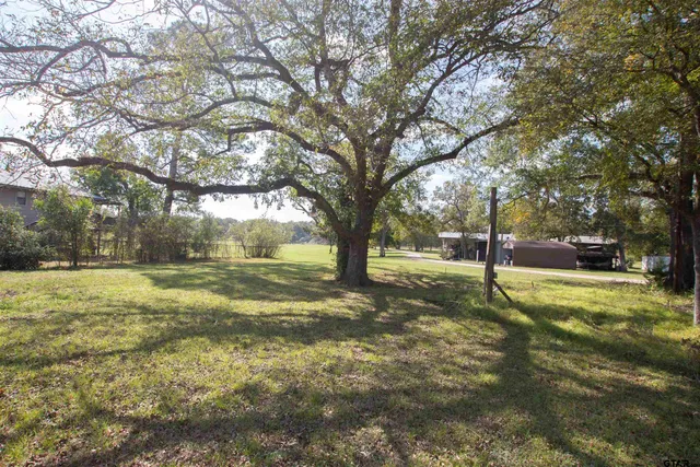 a view of yard with trees