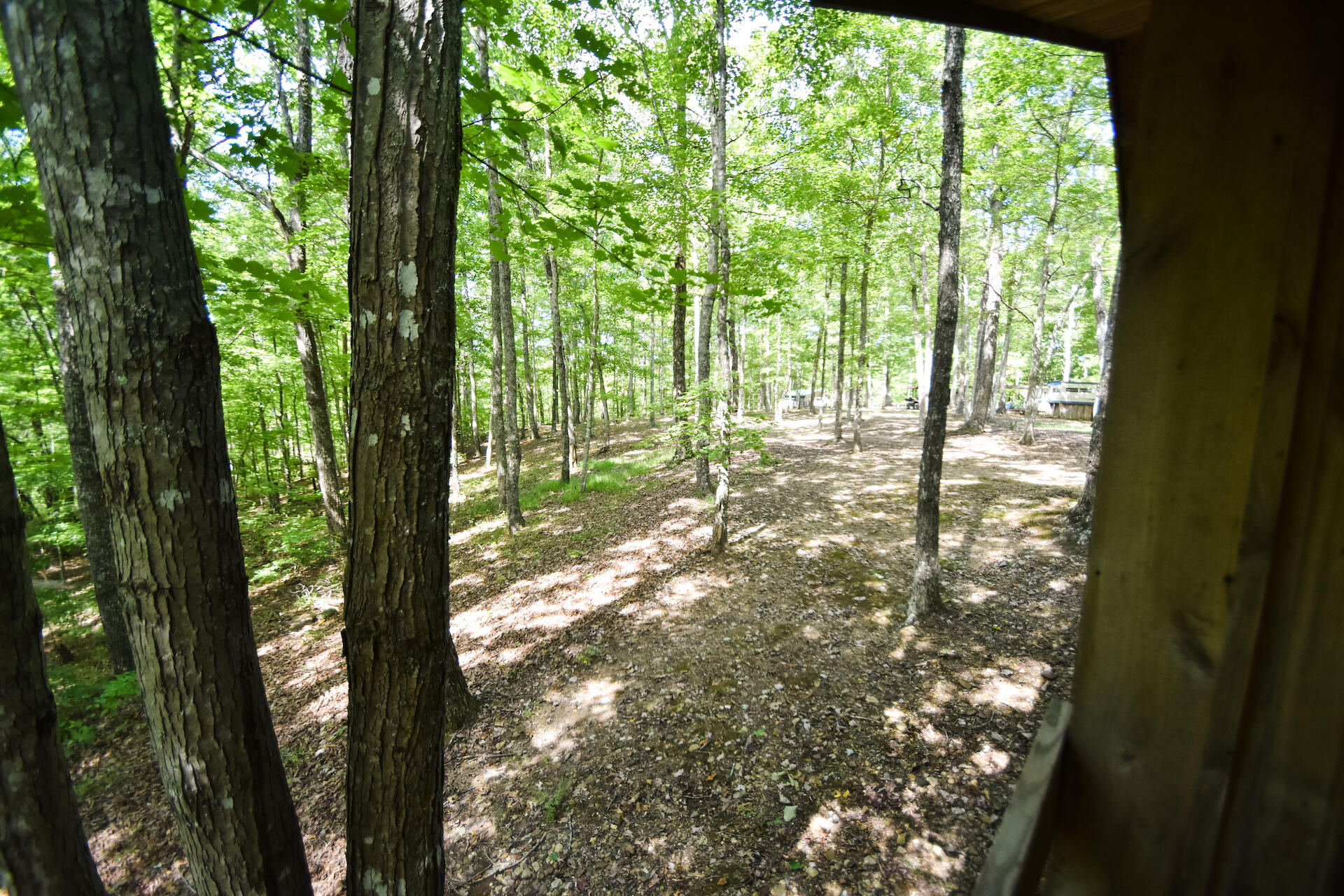 0 Carpenter Ridge Road Sandgap, KY 40481 - Photo 20 of 36 DSC_2109