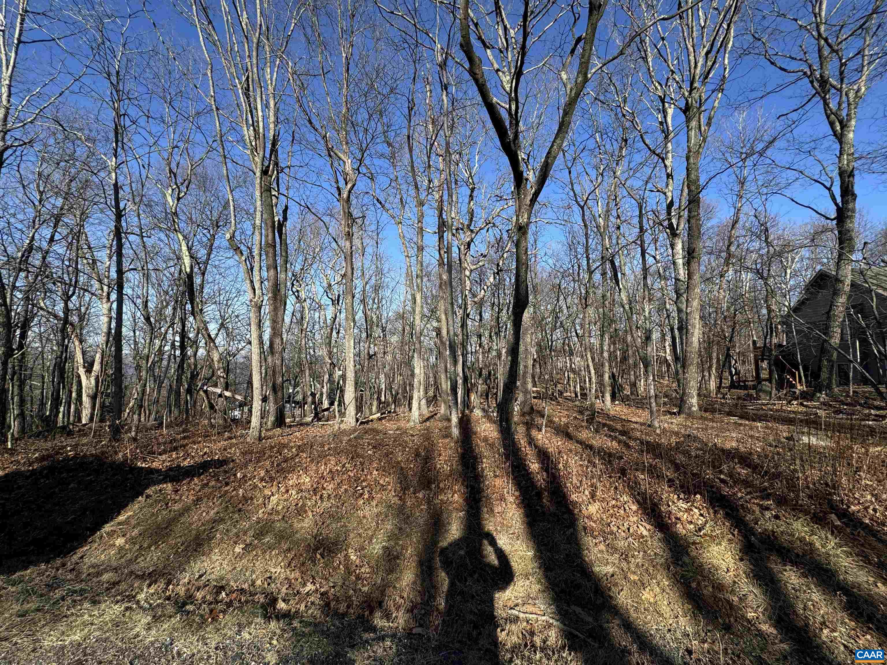 72 Hickory Spring Road Roseland, VA 22967 - Photo 2 of 7 Gallery Image 2