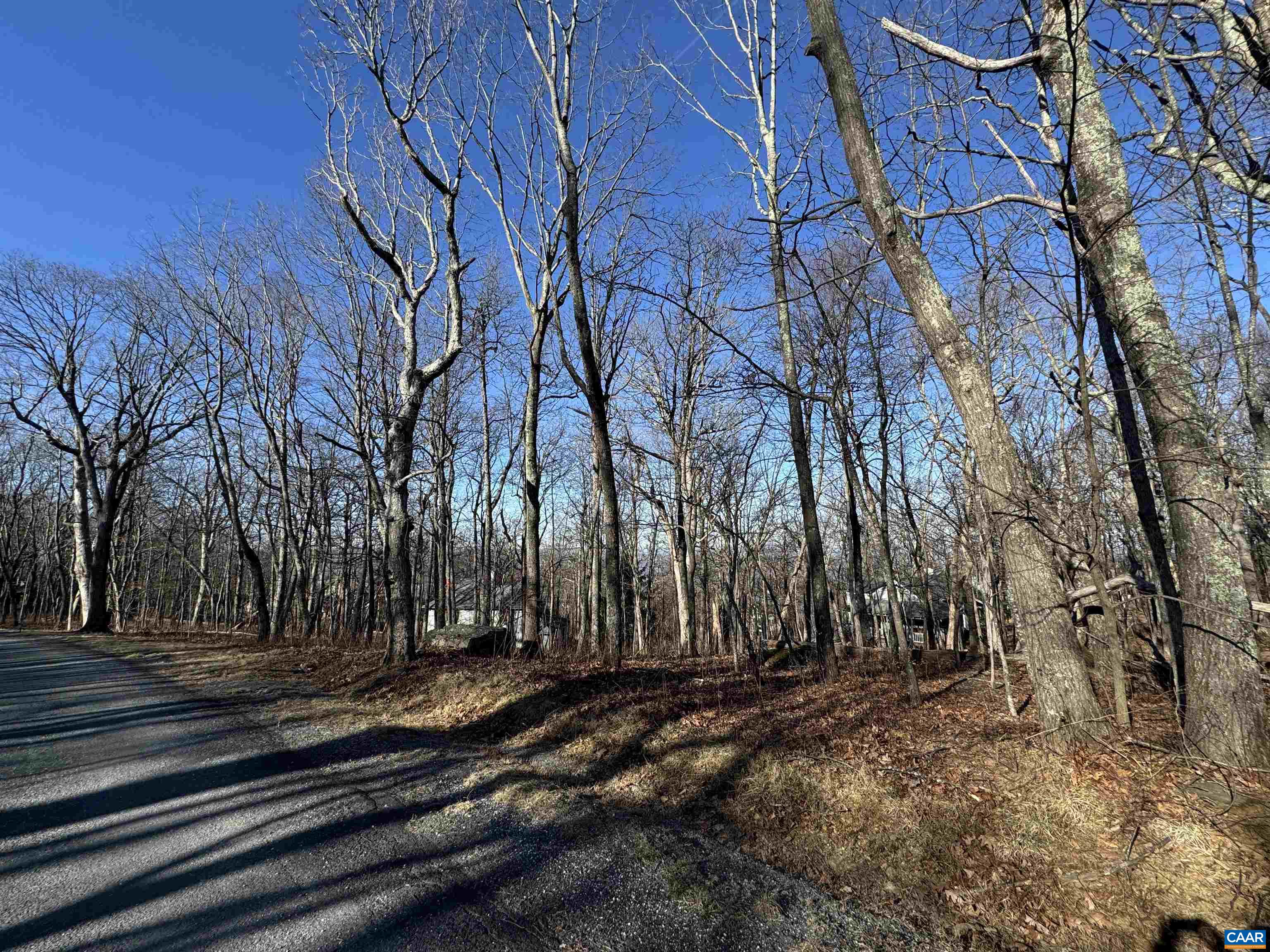 72 Hickory Spring Road Roseland, VA 22967 - Photo 3 of 7 Gallery Image 3