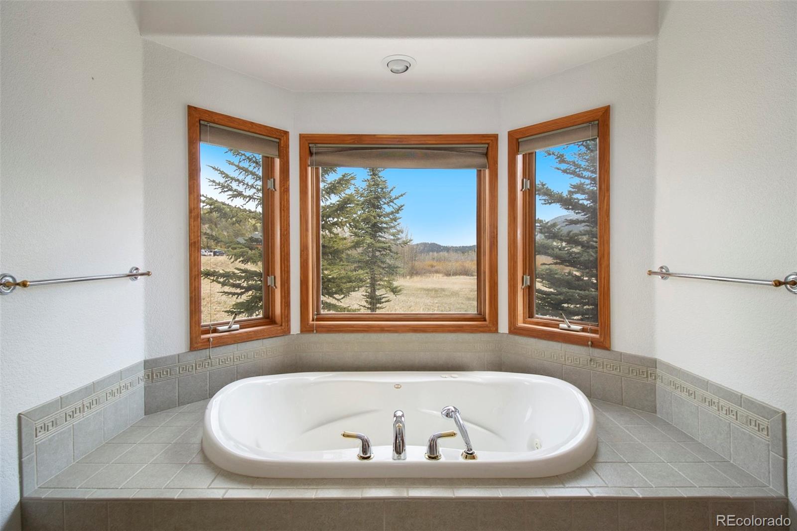 43 Forest Ridge Circle Bailey, CO 80421 - Photo 18 of 43 a white bath tub sitting in a bathroom next to a window