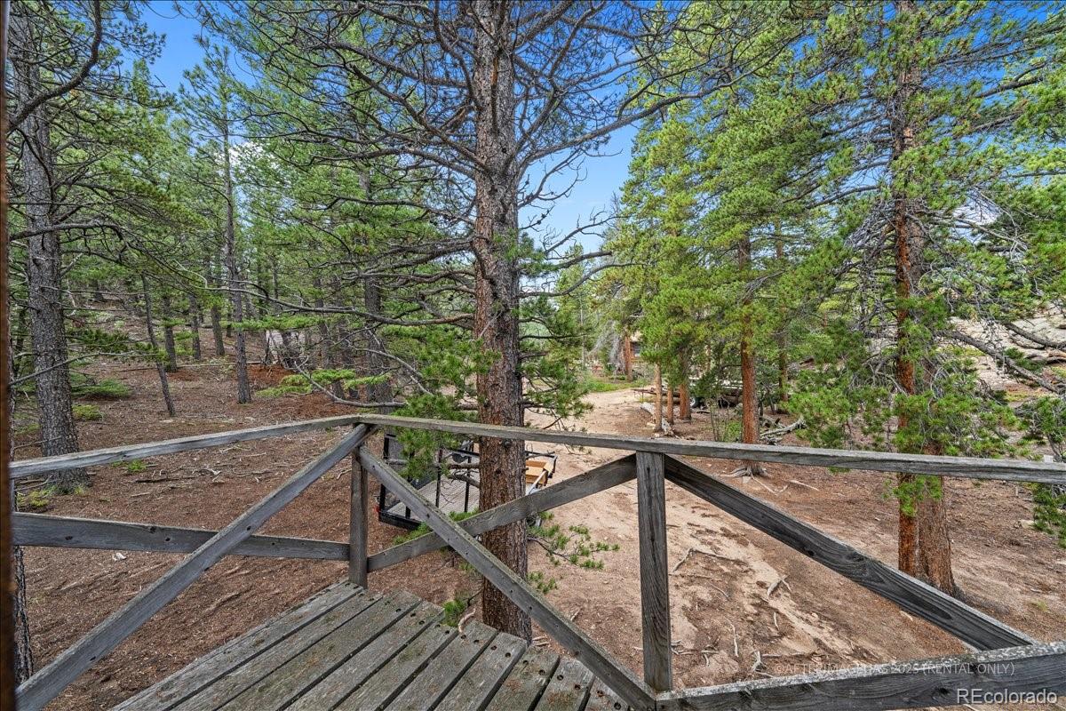 177 Sutherland Road Allenspark, CO 80510 - Photo 16 of 34