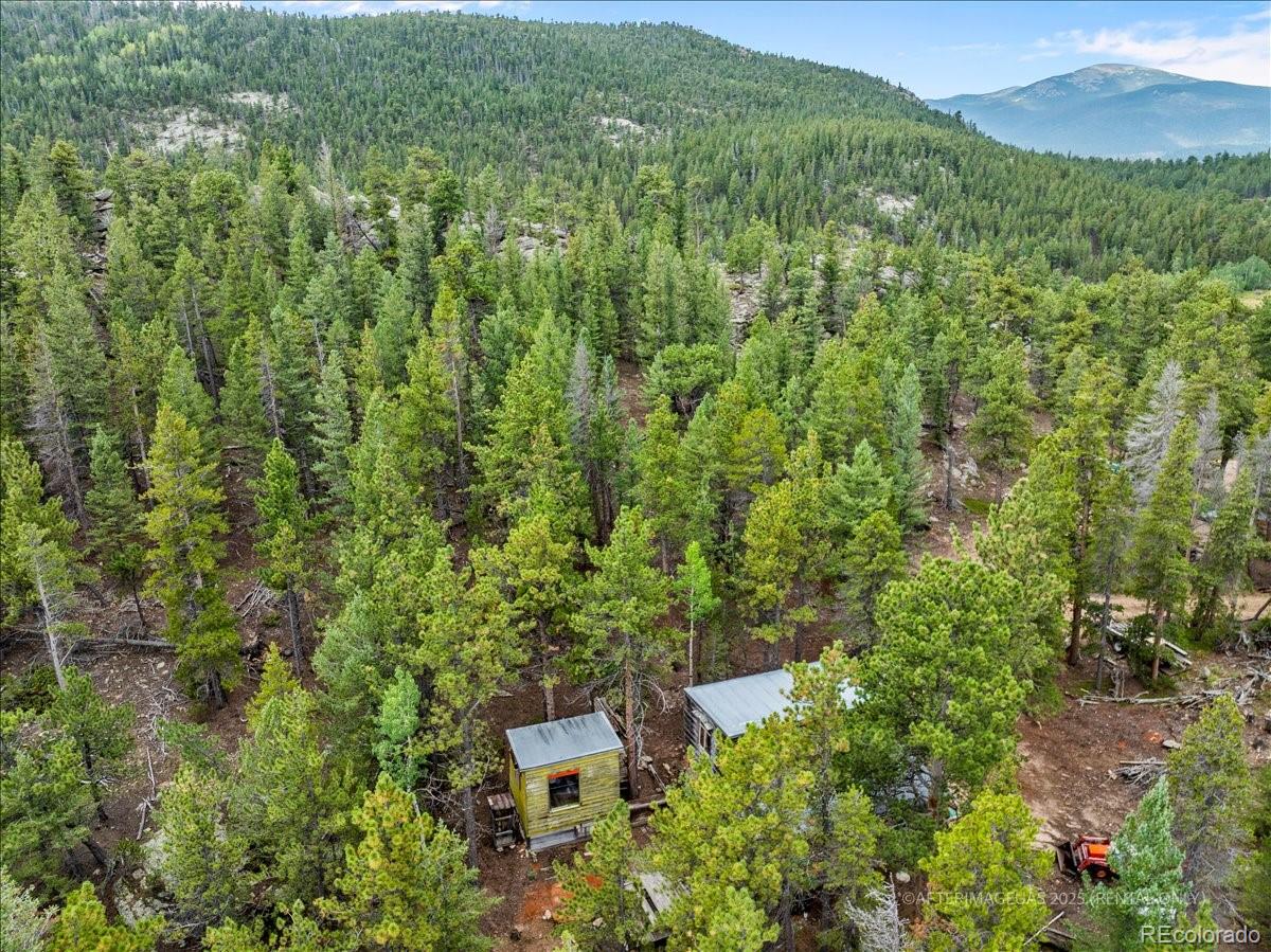 177 Sutherland Road Allenspark, CO 80510 - Photo 21 of 34