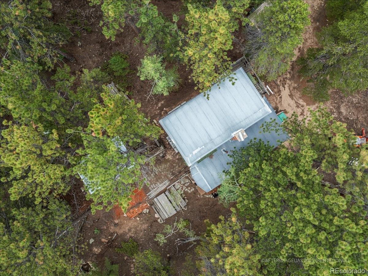 177 Sutherland Road Allenspark, CO 80510 - Photo 22 of 34
