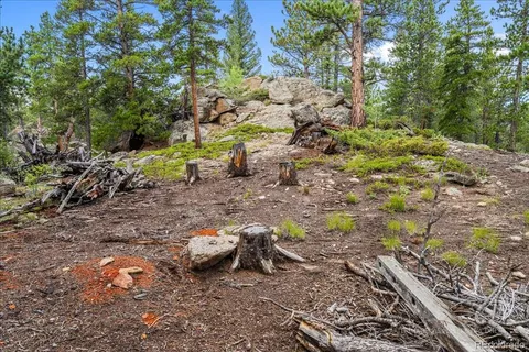 $150,000 | 177 Sutherland Road, Allenspark, CO 80510