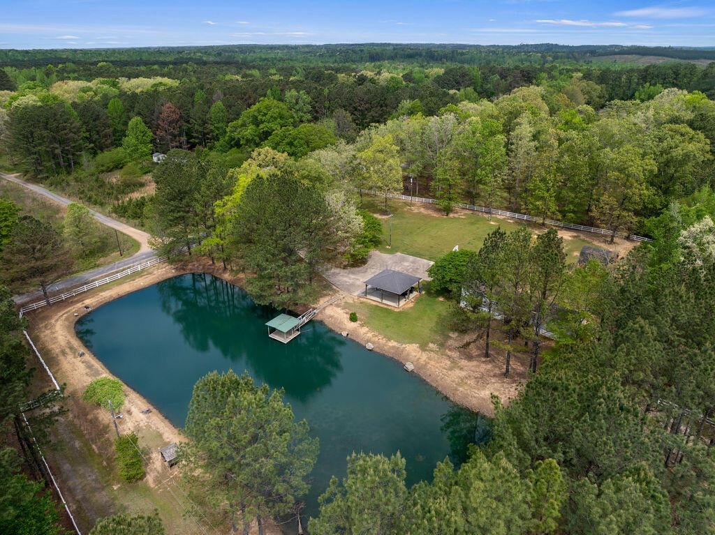 364 Ferguson Road Nauvoo, AL 35578 - Photo 27 of 29 DJI_20260413062840_0814_D