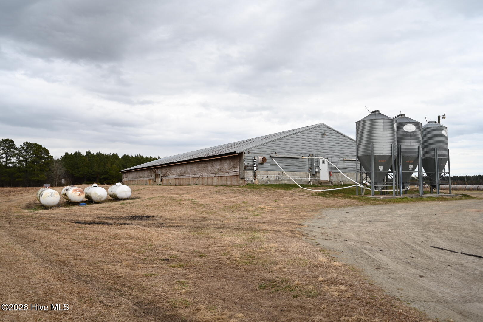 1535 Maul Swamp Road Vanceboro, NC 28586 - Photo 13 of 45 DSC_1449