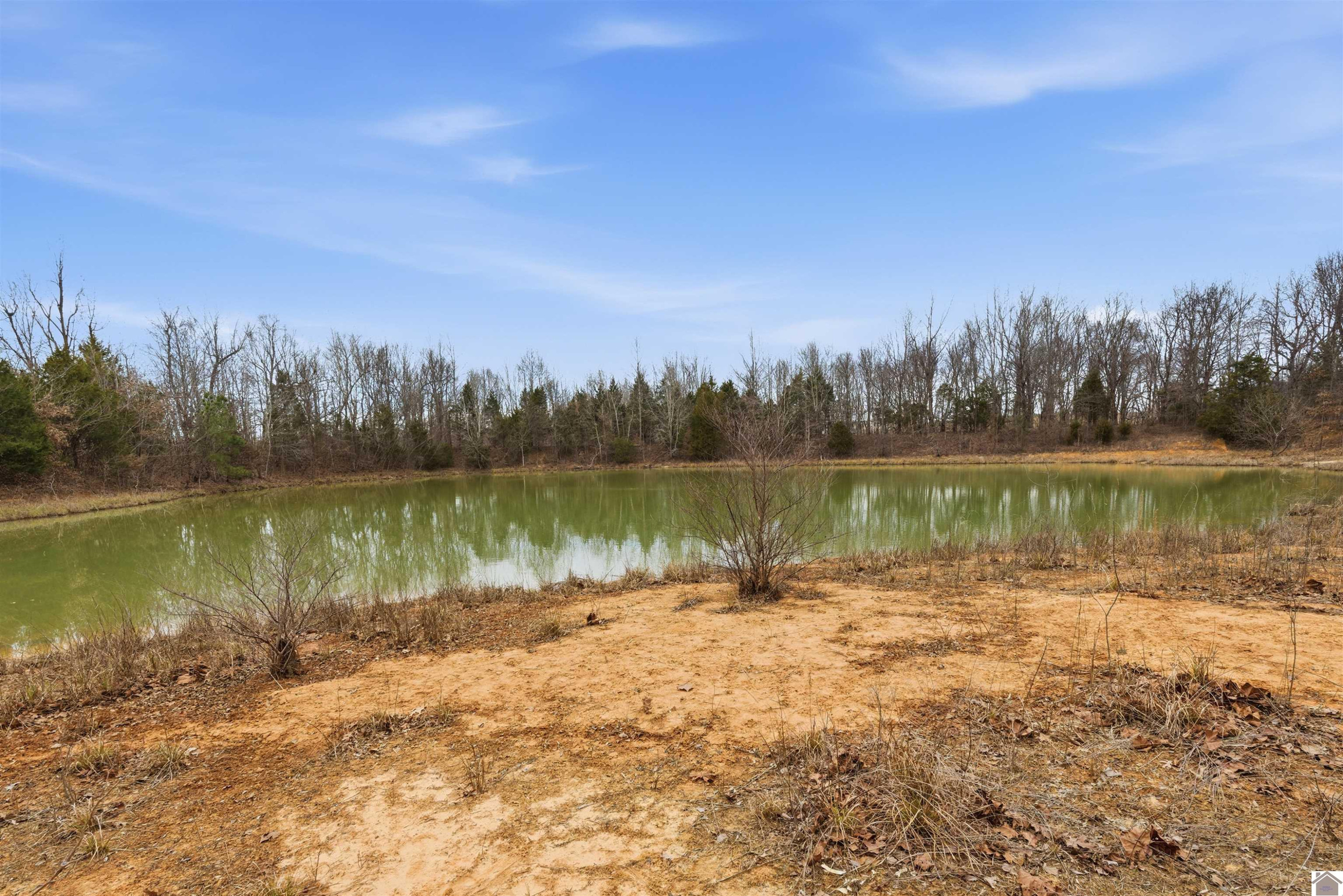 915 Jake Dukes Road Grand Rivers, KY 42045 - Photo 45 of 49 Pond with Beach Sand Area