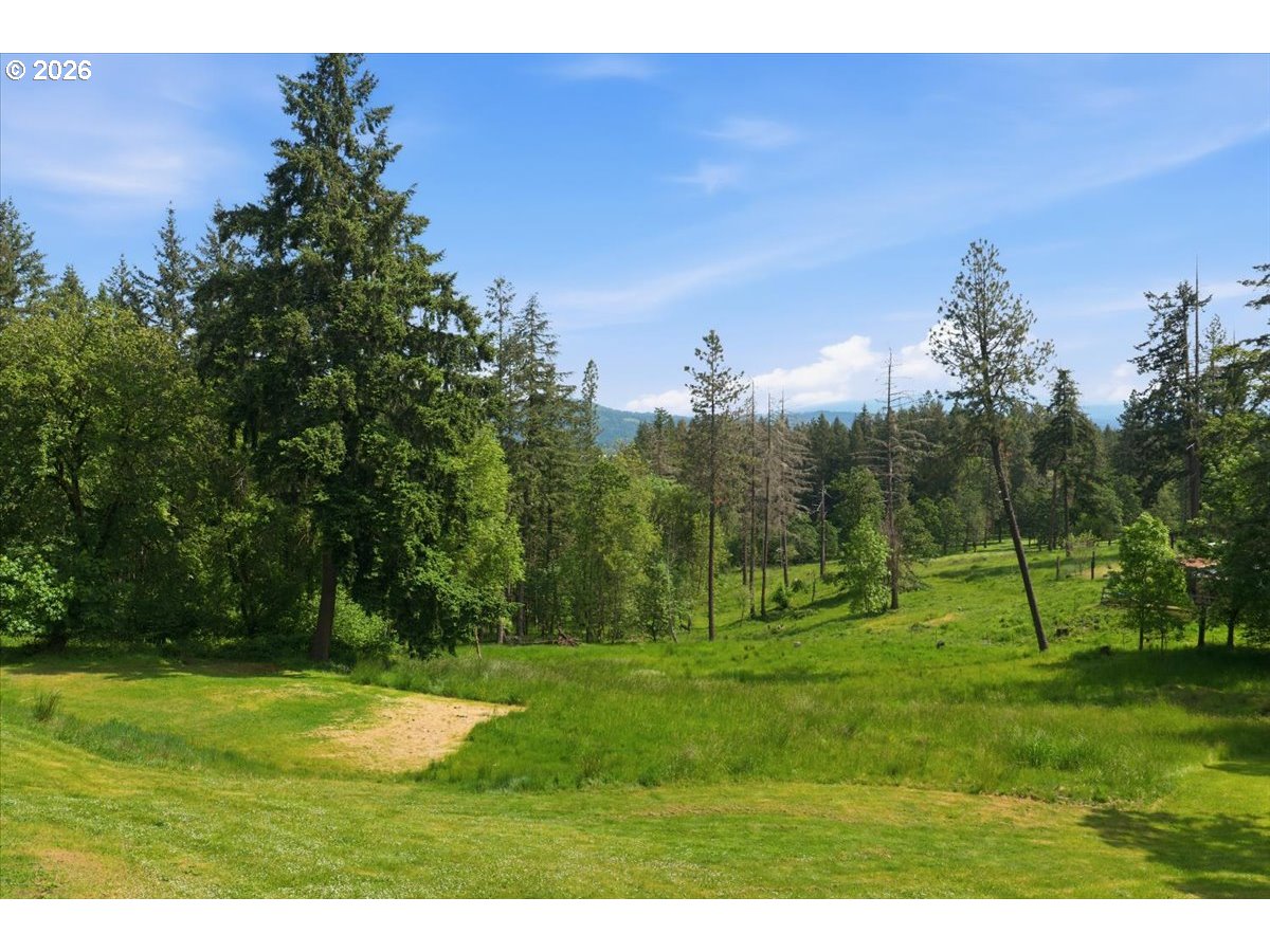 36909 Edgemont Drive Lebanon, OR 97355 - Photo 41 of 48