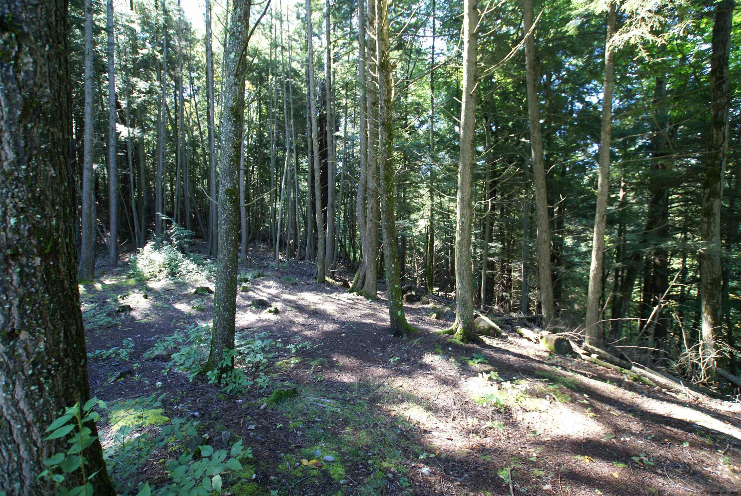 200 S Road Hampton, NY 12887 - Photo 39 of 40 Photo 39