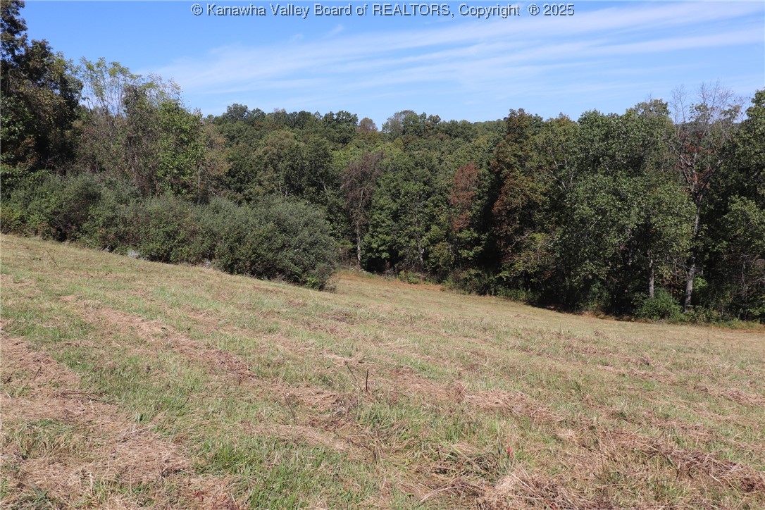 161 Cavender Drive Ripley, WV 25271 - Photo 41 of 50 Gallery Image 41
