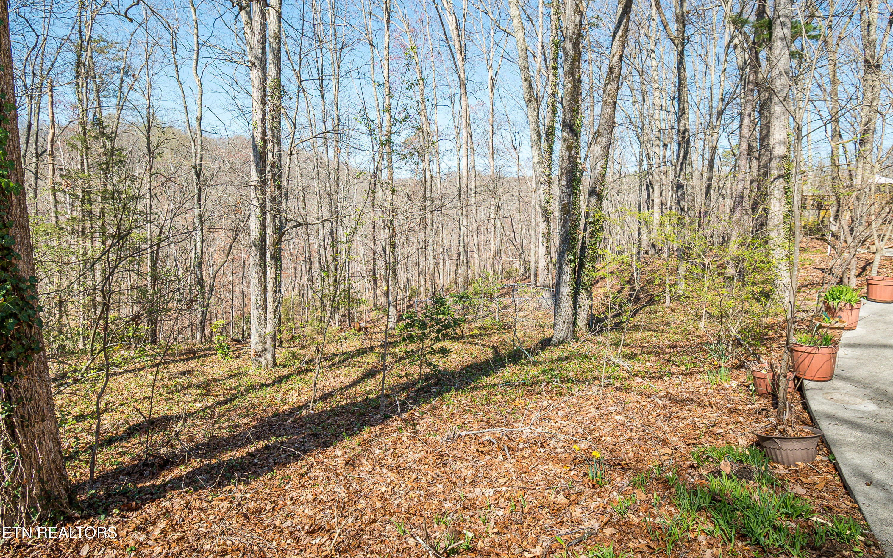 135 North Seneca Road Oak Ridge, TN 37830 - Photo 10 of 32 135 N Seneca Rd Oak Ridge TN-print-028-0