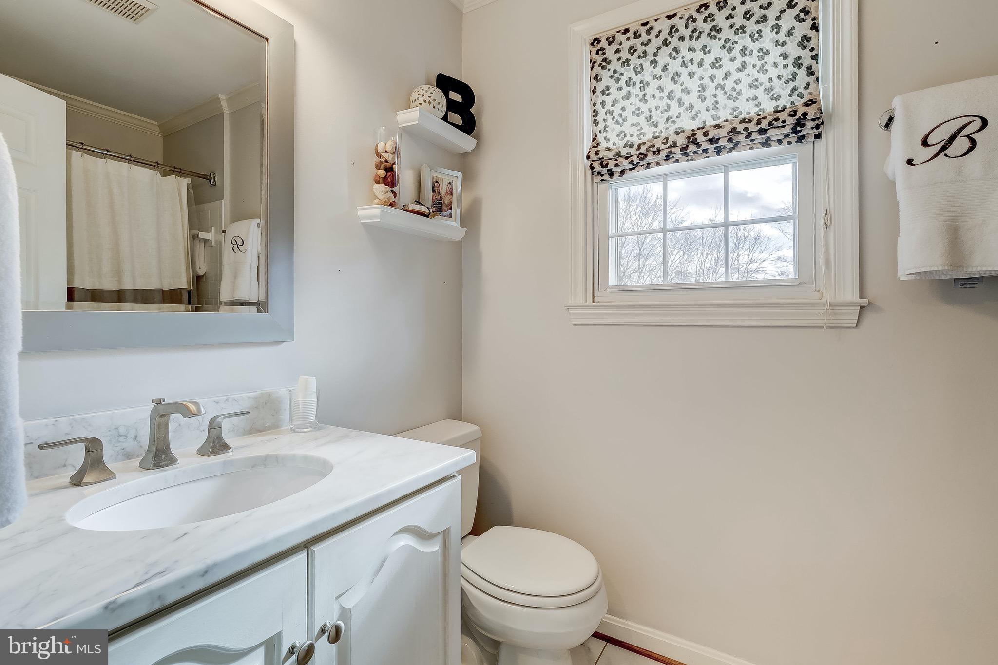 16353 Markoe Road Monkton, MD 21111 - Photo 52 of 96 Bathroom #2