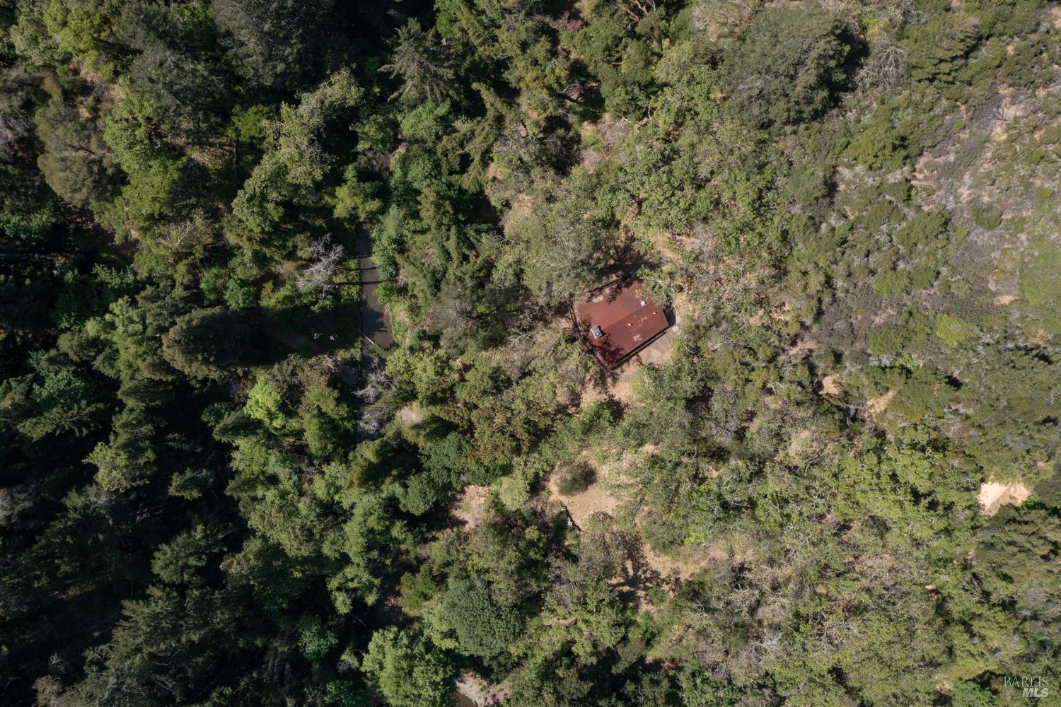 16300-16333 Yerba Santa Road Geyserville, CA 95441 - Photo 16 of 35 a view of a forest with a tree