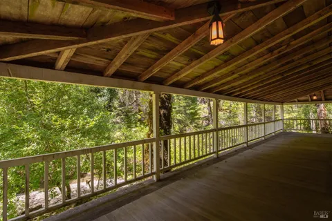 a view of a yard with plants and trees