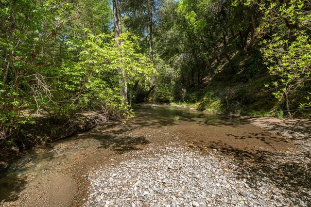 a backyard of a house with lots of green space