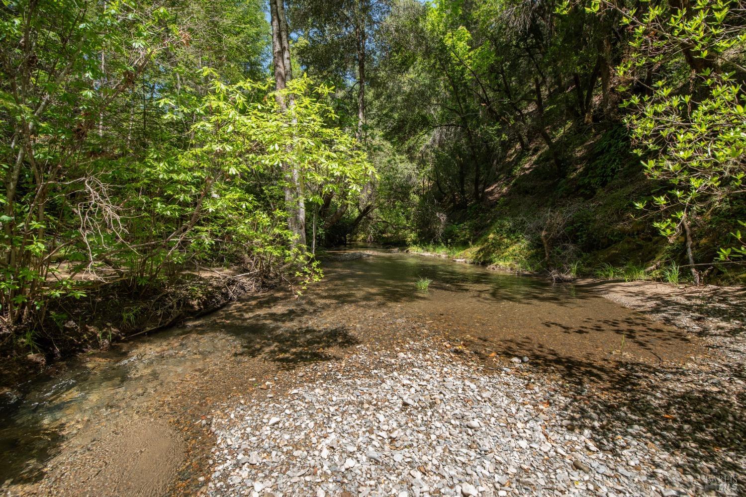16300-16333 Yerba Santa Road Geyserville, CA 95441 - Photo 30 of 35 a view of a yard with plants and trees