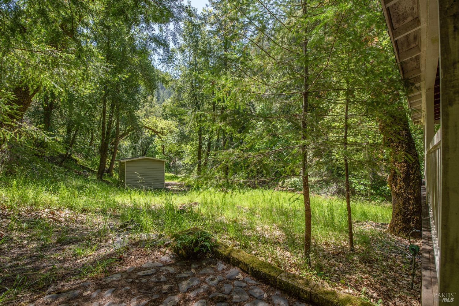 16300-16333 Yerba Santa Road Geyserville, CA 95441 - Photo 34 of 35 a backyard of a house with lots of green space
