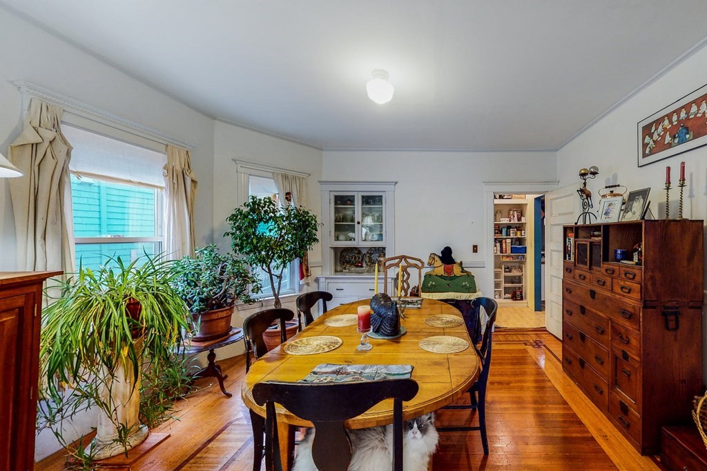 64 Highland Road Somerville, MA 02144 - Photo 8 of 42 Gallery Image 8
