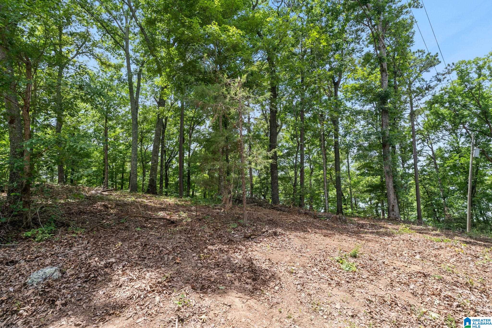1205 Lk Rdg Lane, Unit 10 Talladega, AL 35160 - Photo 15 of 38